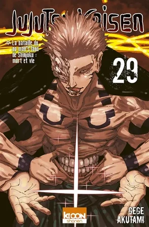 Jujutsu kaisen. Vol. 29