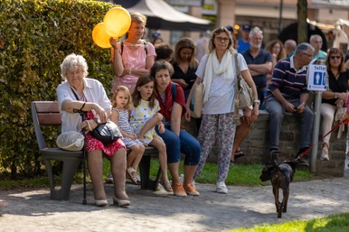 Braderie des commerçants 150